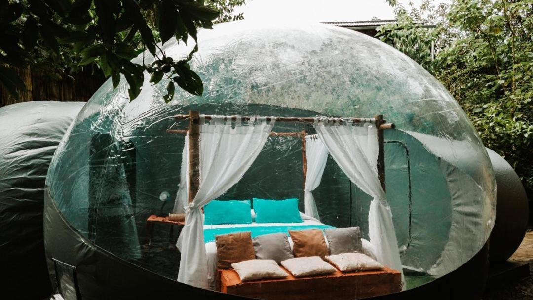 Mindo Glambird Glamping & Lodge 外观 照片