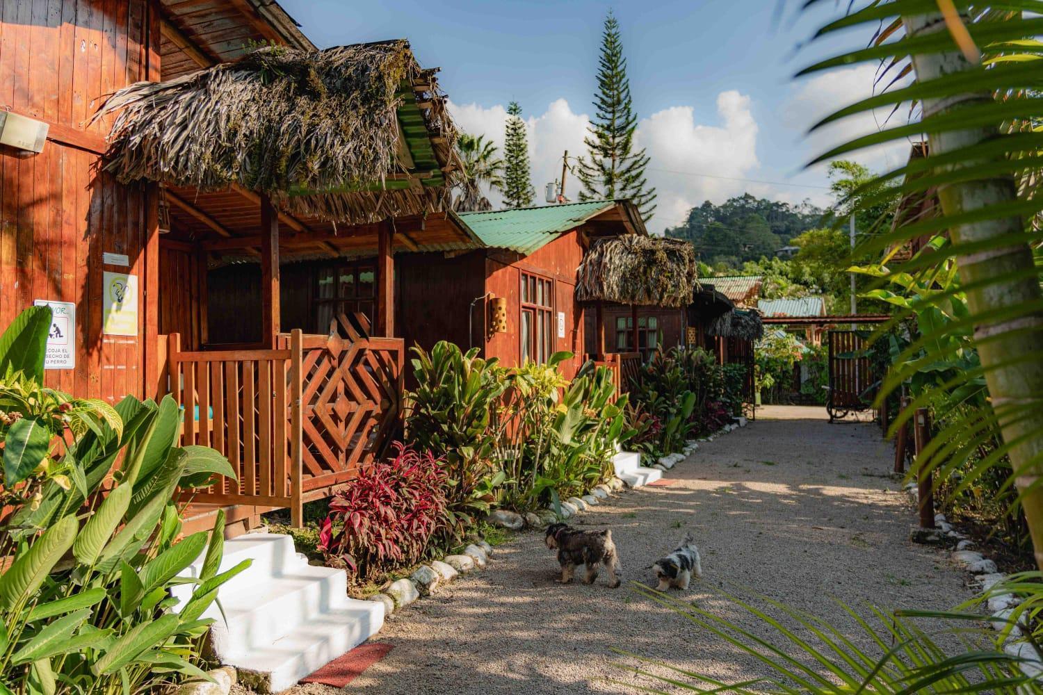 Mindo Glambird Glamping & Lodge 外观 照片