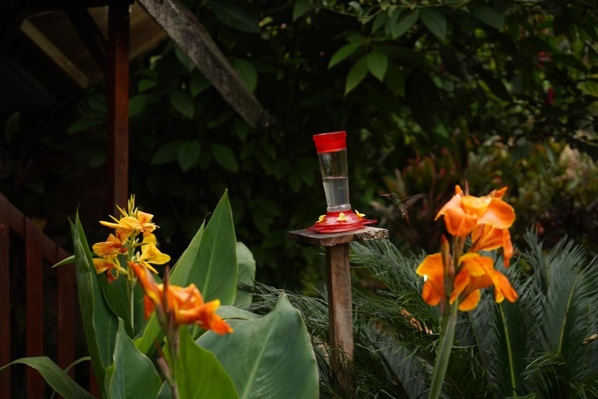 Mindo Glambird Glamping & Lodge 外观 照片