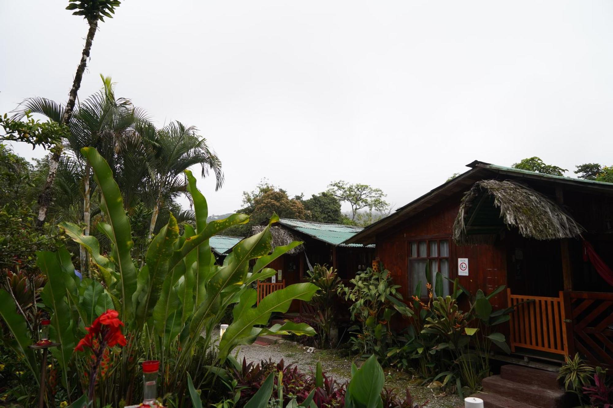 Mindo Glambird Glamping & Lodge 外观 照片