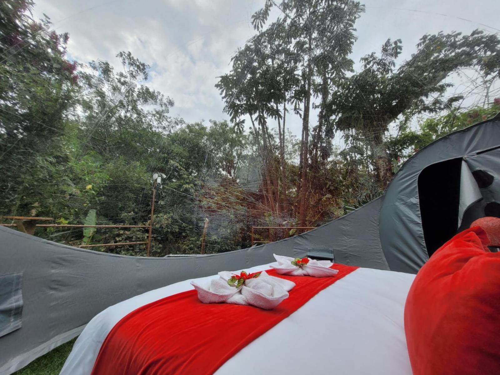 Mindo Glambird Glamping & Lodge 外观 照片